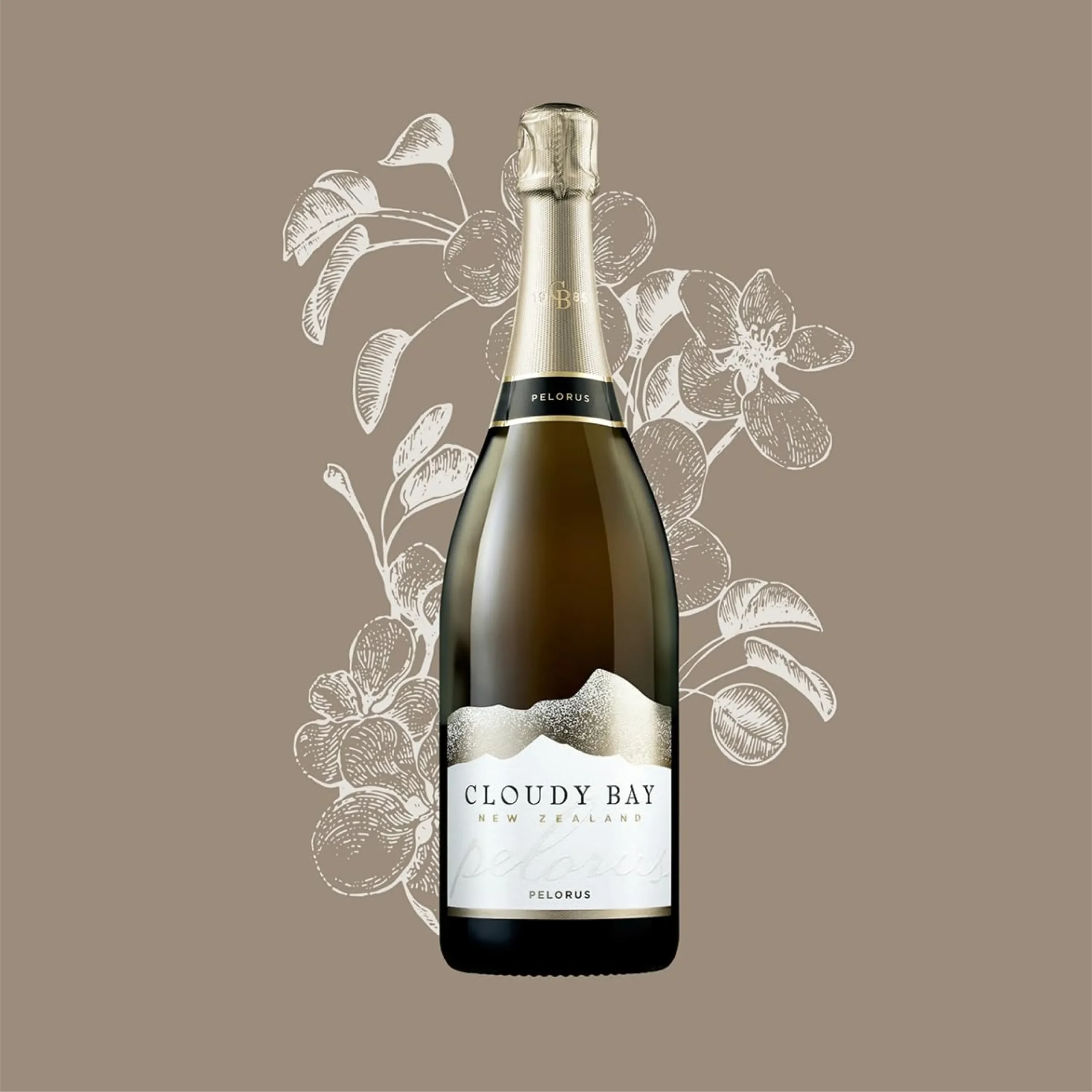 Superchouette- Une bouteille de vin pétillant Cloudy Bay Pelorus est centrée sur un fond taupe avec des illustrations botaniques blanches dessinées à la main à l'arrière-plan.